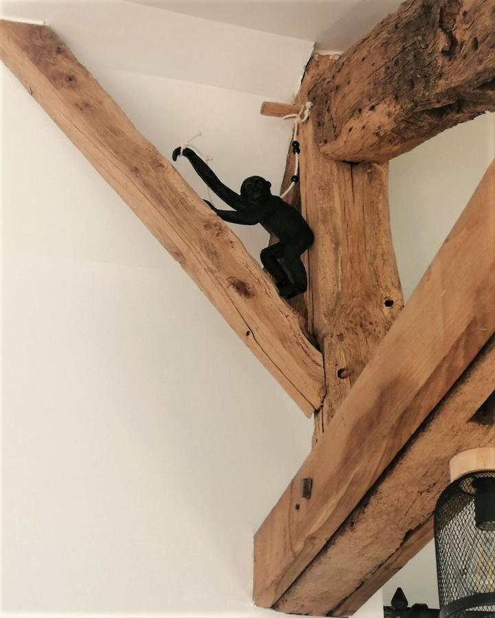 Gite La Terrasse Du 37 Breteil エクステリア 写真